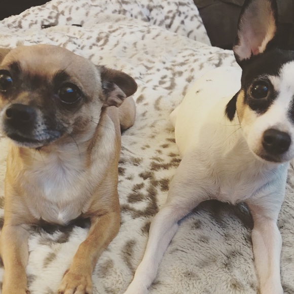 Meet your Posher, Kristine - Picture 4 of 8